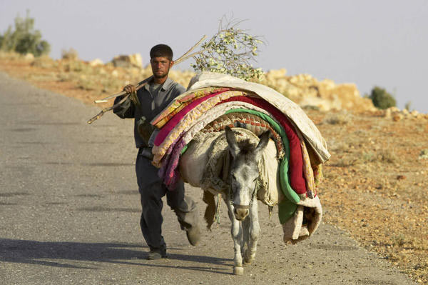 A Yezidi man an his donkey walk along a road on Mount Sinjar, 250 miles (404 kilometers) northwest of Baghdad, Iraq, Monday, Sept. 19, 2005. (Jacob Silberberg, AP)